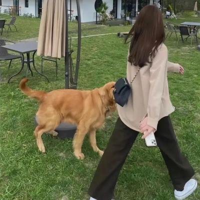 刚达
